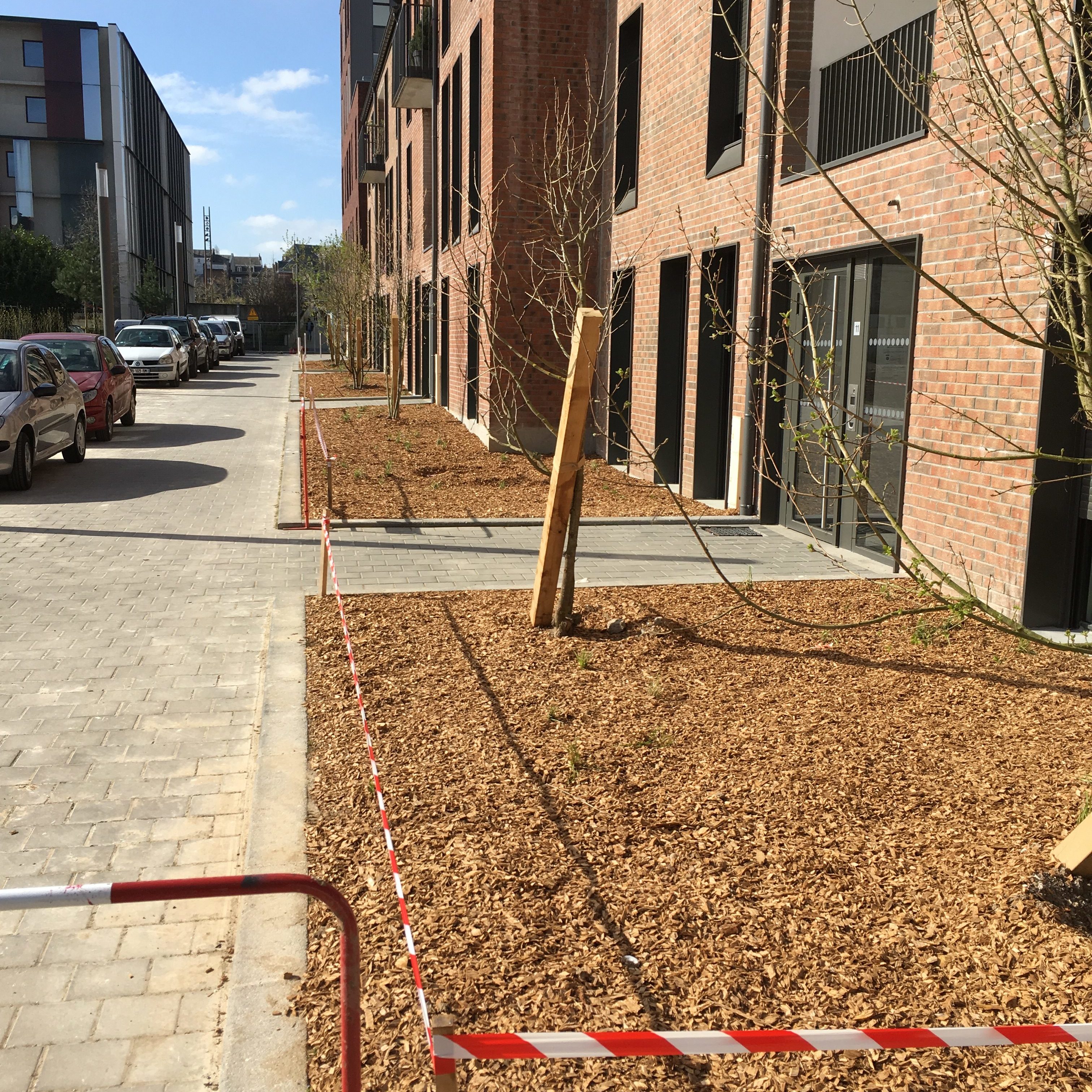 plaquette chêne et des poteaux en chêne