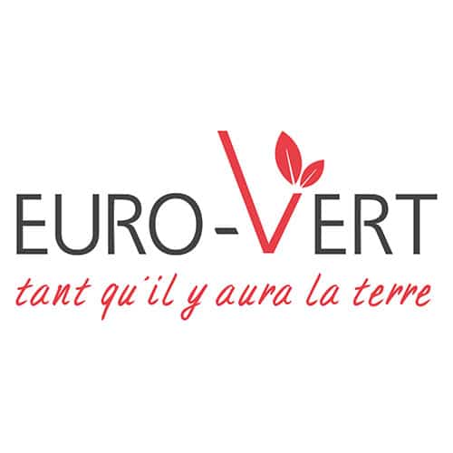 Logo Euro Vert